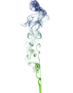 Environment Risk Assessments