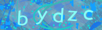 Visual Confirmation Code