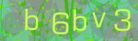 Visual Confirmation Code